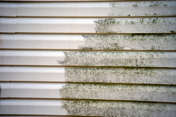 Best Engineered Wood Siding  in Union Hall, VA