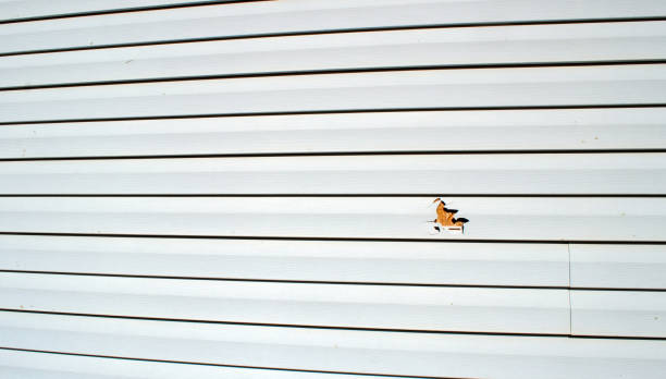 Best Aluminum Siding Installation  in Union Hall, VA